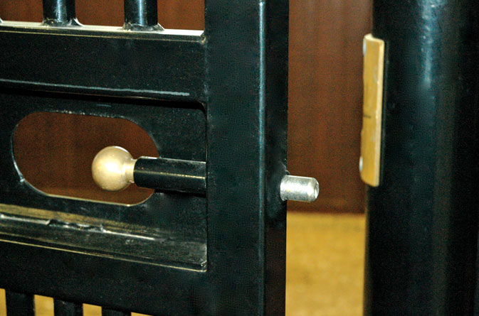 Brass Plunger for Stall Door
