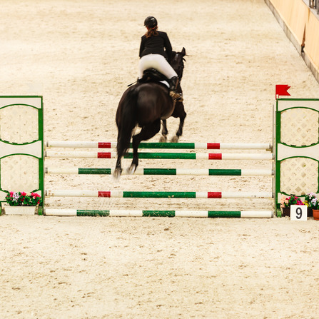 North American Horse Shows