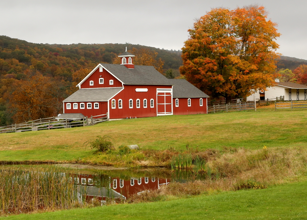 horse lovers fall chore list