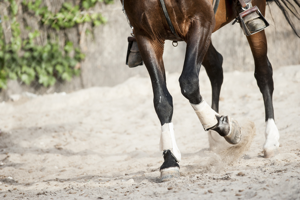 arena footing