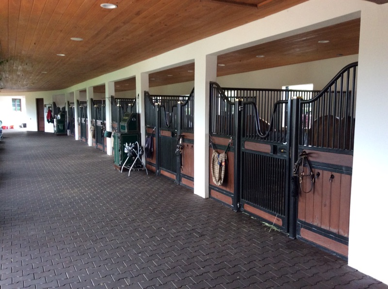 Horse Flooring - Interlocking Pavers