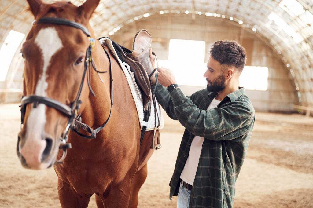 Process of preparation the animal for a ride. Young man with a horse is in the hangar.
