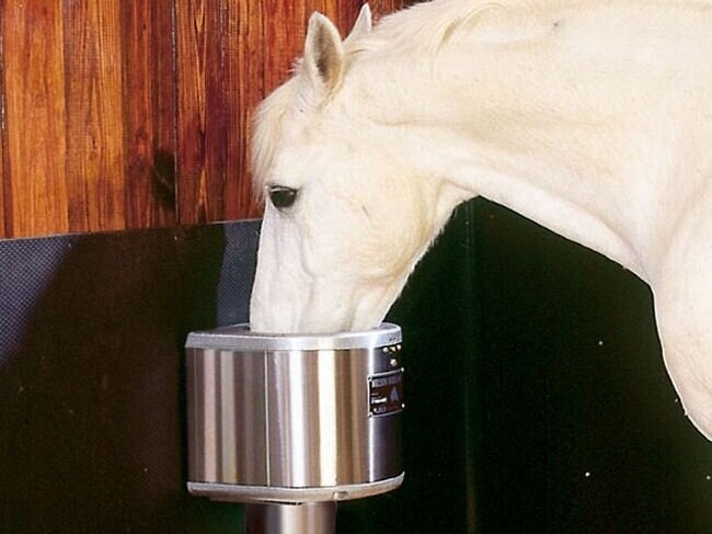 Nelson Horse Waterers - Saratoga Stalls