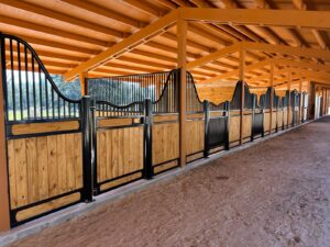 European Horse Stalls