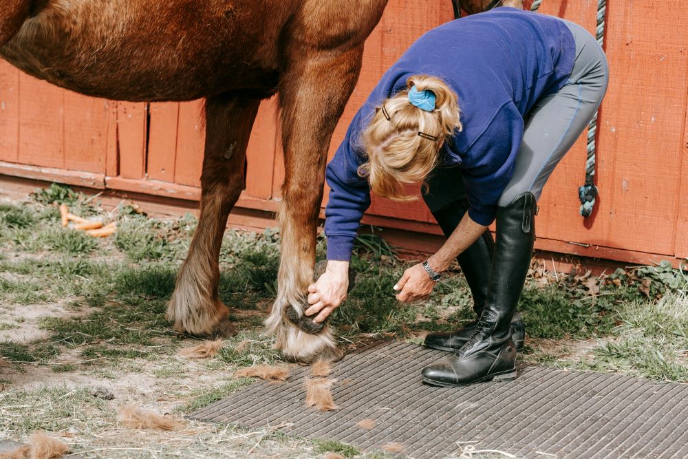 Women cleaning a horse hoof